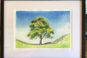 Sycamore-Gap-Sue-Dudill-Artist-Northumberland