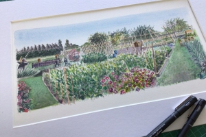 Allotment-Sue-Dudill-Artist-Northumberland