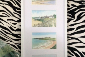 Best-Walk-Sue-Dudill-Artist-Northumberland