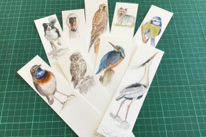 Birds and animals Sue Dudill artiste Ile de Re