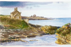 Cullernose-Point-Sue-Dudill-Artist-Northumberland
