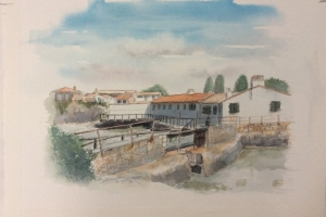 Loix Sue Dudill Ile de Re