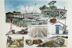 Le Plomb Sketch Sue Dudill artiste Ile de Re