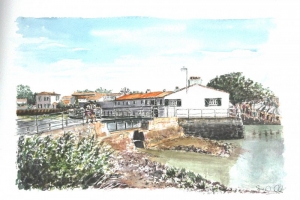 Loix Fete du Port 2 regardent Sue Dudill Artiste Ile de Re