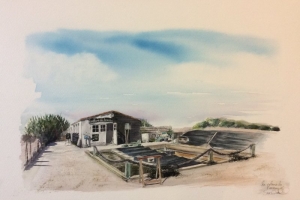 Loix La Cabane du Feneau Sue Dudill Artiste Ile de Re