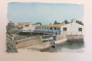 Loix Moulin vers Loix Sue Dudill artiste Ile de Re