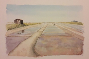 Loix marais 19 Sue Dudill artiste Ile de Re