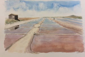 Loix marais Sue Dudill artiste Ile de Re