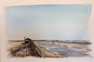 Loix Sue Dudill Ile de Re