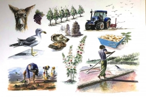 Natural Island Sue Dudill Artiste Ile de Re