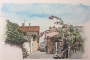 Rivedoux  Sue Dudill Ile de Re