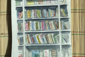 UBSK-Alnwick-Library-Sue-Dudill-Artist-Northumberland