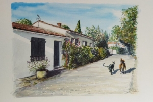 zzz last one Veros House